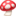🍄