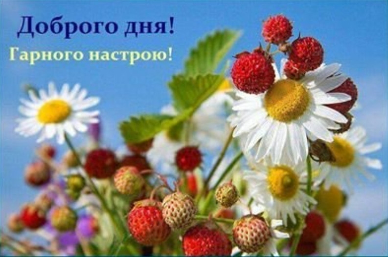 image_transcoder.php?o=bx_froala_image&h=17&dpx=1&t=1662116053